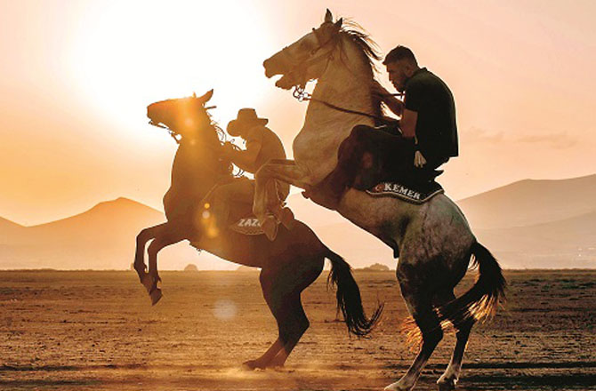 گھوڑا(Horse): گھوڑا بہت کم بو لتا ہے البتہ وہ ایک اچھا سامع ہو تا ہے ۔ ساتھ ہی اس کی باڈی لینگویج ، اظہار جذبات کا ذریعہ ہوتی ہے ۔دیکھا جائے تو کامیاب انسانوں کی صفات میں یہ دونوں چیزیں مرکزی کردار ادا کرتی ہیں۔ گھوڑے اپنے ریوڑ میں دوسروں کے کردار اور جذبات کا احترام اور ان کا تعاون کرتے ہوئے آگے بڑھتے ہیں۔اگر انسان بھی ان صفات کو اپنالے تو وہ ایک کامیاب سماجی زندگی گزار سکتا ہے۔گھوڑا طاقتور اور بے خوف جانور ہے۔در اصل گھوڑے کی طاقت اور رفتار کے پیچھے اس کی خود اعتمادی ہوتی ہے۔انسان بھی خود اعتمادی کے ذریعہ زندگی میں مشکل حالات کا مقابلہ کرسکتا ہے۔گھوڑے اپنے تعلقات میں بہت پختہ ہوتے ہیں ۔وہ بہت جلد کسی سے مانوس نہیں ہوتے لیکن جو اُن کے نزدیک قابل اعتبار ہوجاتا ہے وہ آخر تک ان سے وفا کرتے ہیں۔گھوڑوں کی یہ صفات انسانوں کو وفاداری اور فرمانبرداری کا اعلیٰ درس دیتی ہیں۔ گھوڑا ایک محنت کش جانور خیال کیا جاتا ہے۔گھوڑوں سے انسان محنت کشی اور ذہنی و جسمانی مشقت کی اہمیت سیکھ سکتا ہے۔ وہ کبھی بھی محنت و مشقت سے جی نہیں چراتے۔انسان بھی اپنے مقصد کے حصول کیلئے سخت محنت کرکےکامیاب بن سکتا ہے۔