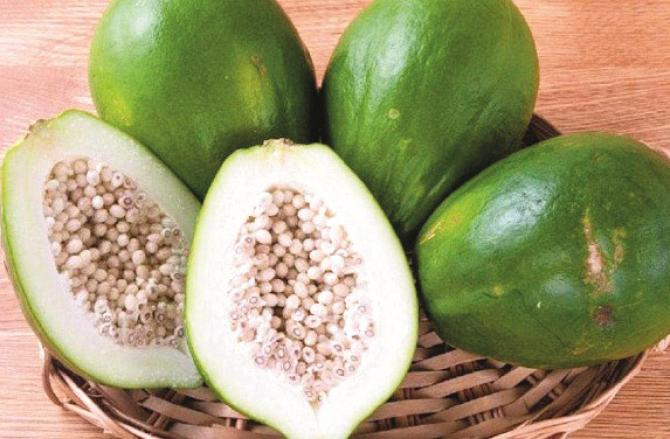 Consuming raw papaya is very useful for diabetic patients. Photo: INN