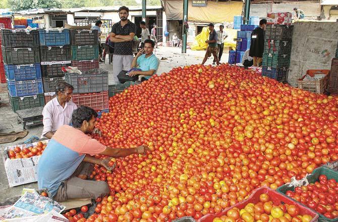 Tomato traders are seen in Kolkata`s vegetable market. Photo: PTI
