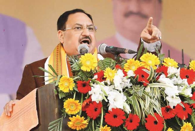 BJP president JP Nadda. Photo: INN