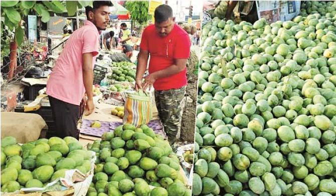 Malda mangoes in Kolkata market. Photo: INN