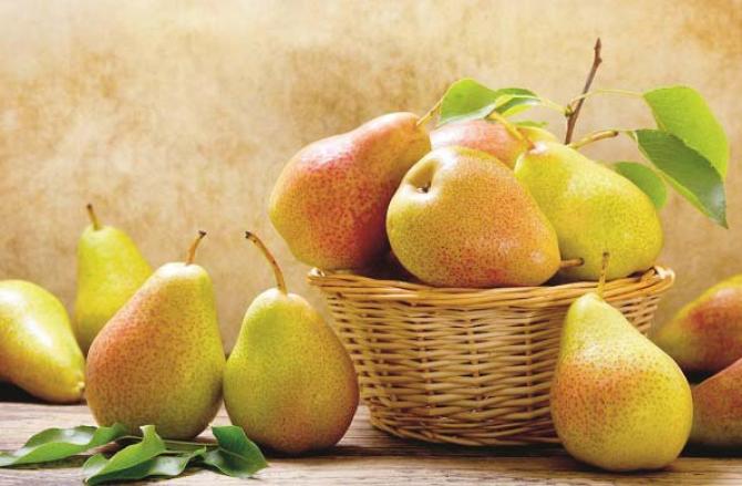 Regular consumption of pears can help in removing wrinkles from the face. Photo: INN