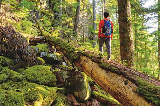 India has all types of rainforests, so geographically our country is quite stable. Photo: INN
