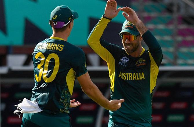 Australian team players celebrating after taking a wicket. Photo: INN.
