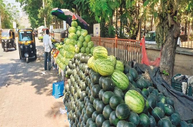 The wholesale price of watermelon is said to be around 26 to 27 rupees per kg