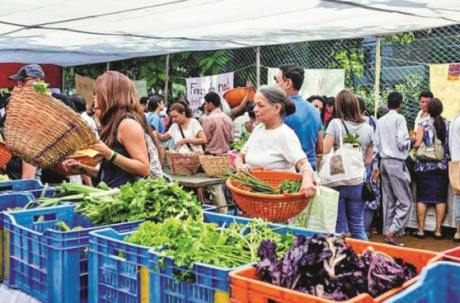 Vegetables and fruits being sold by farmers located in Bandra. Photo: INN