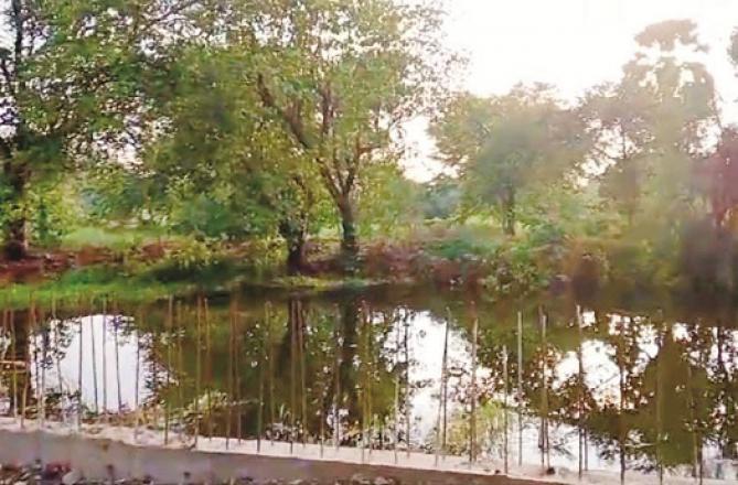 The pond which is being bridged to build a road. Photo: INN