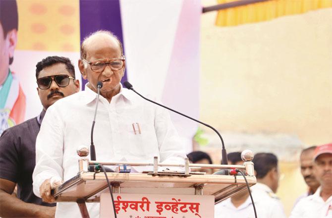 NCP chief Sharad Pawar took Prime Minister Modi cold-handed. Photo: INN