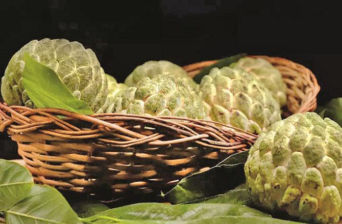 Sharifa is rich in Vitamin C. Photo: INN