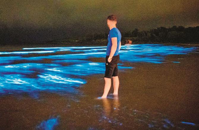 According to experts, this blue light on the beach is harmless. Photo: INN