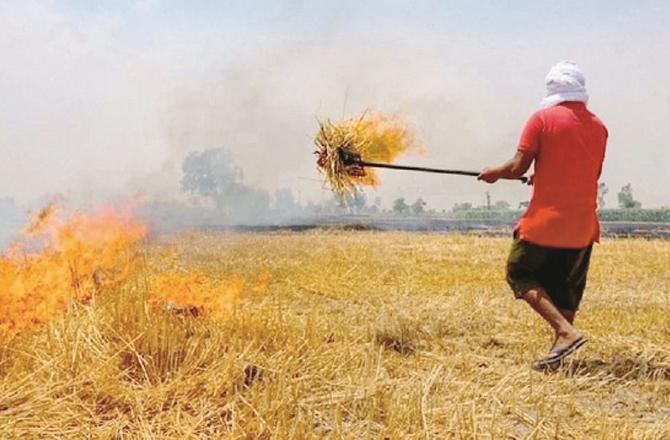 Stubble burning in Haryana and Punjab has a severe impact on Delhi. Photo: INN.