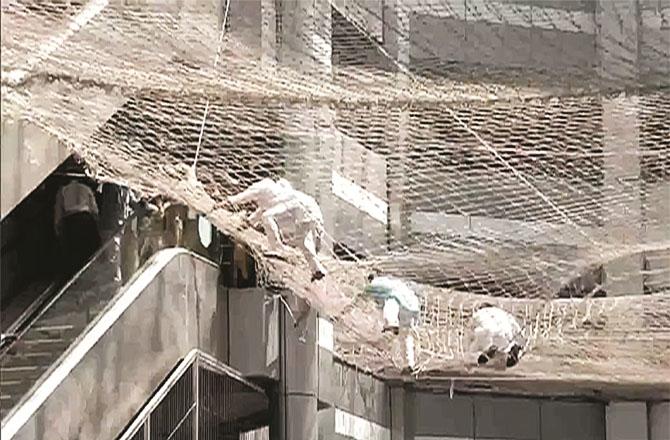 The protesting members of the assembly are being taken out of the net. (PTI)