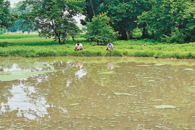 People are hunting fish sitting on the bank of a lake. Photo: INN