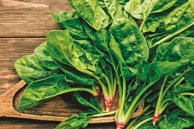 Spinach is good for skin. Photo: INN