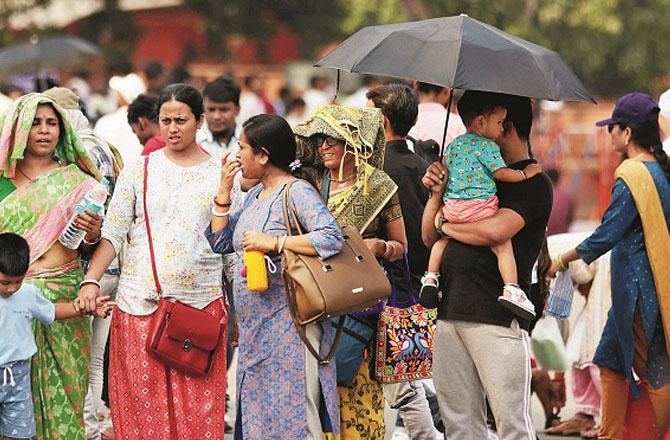 The impact of Bhandara`s weather fluctuations is being seen on both crops and health. Photo: INN.