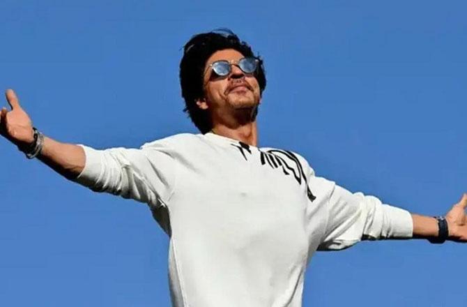 King Khan SRK. Photo: INN