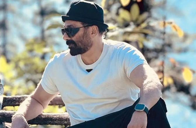 Sunny Deol. Photo: INN
