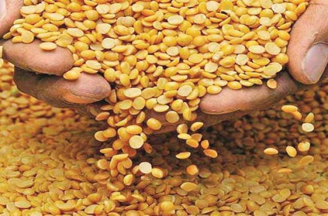 The government has taken the first step towards buffer stocking of tur dal. Photo: INN
