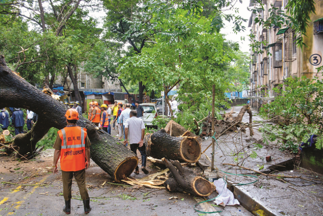 Trees also fell at many places during the heavy rain. The image below is of the police station. Photo: PTI