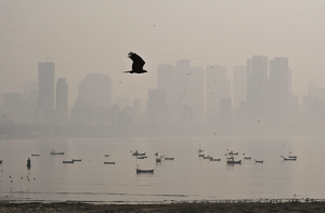 سختی کے باوجود ممبئی میں فضائی آلودگی خراب زمرے میں!