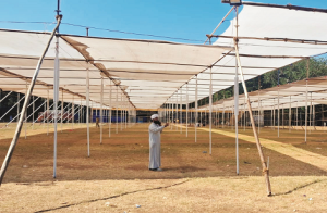 سنّی دعوتِ اسلامی کے۳۳؍ویں سہ روزہ سالانہ اجتماع کی آزاد میدان پر تیاریاں زوروں