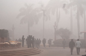 کہرے کا قہر، دہلی میں ۸۰؍ سے زائد پروازیں منسوخ