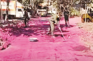 ڈومبیولی ایم آئی ڈی سی میں کیمیائی آلودگی کے سبب سڑکیں گلابی ہوگئیں