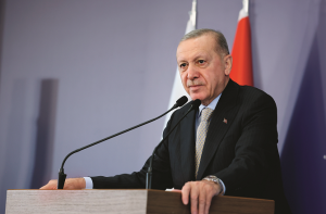 ہم نے، روس اور یوکرین دونوں کو متنبہ کر دیا ہے: اردگان