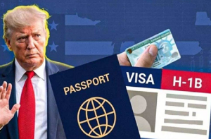 ایچ ون بی ویزا: تقریباً نصف ہندوستانی ٹیک پروفیشنلز نسلی امتیاز کا شکار: سروے