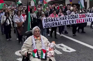 اسٹاک ہوم میں اسرائیل کے ذریعے  غزہ پر جاری حملوں کے خلاف مظاہرہ