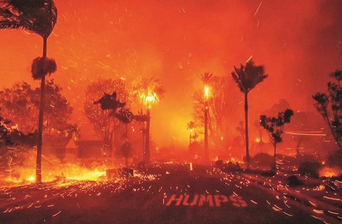 A Los Angeles suburb is seen burning. Photo: INN.