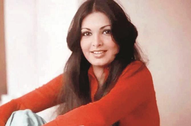 Parveen Babi, a famous actress of her time. Photo: INN