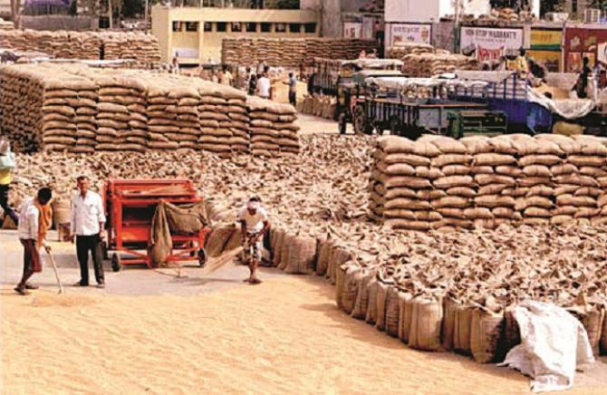 Demand for wheat is high and supply is low. Photo: INN