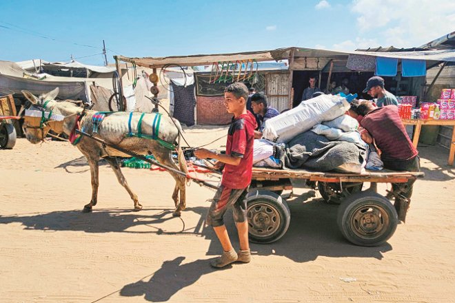 Gazans are using donkeys for transportation. Photo: INN
