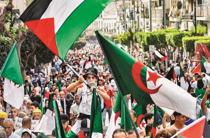 More than 10,000 people from all over the world are expected to participate in the Global March. (File photo)