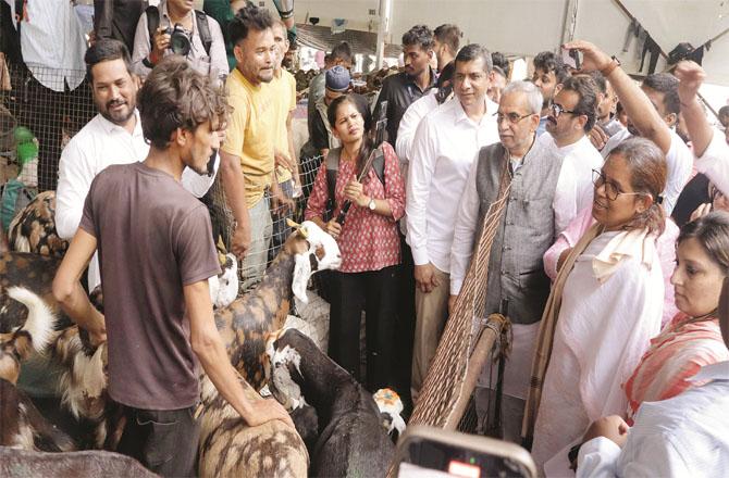 Congress leaders listening to the problems of goat traders at the Deonar slaughterhouse.