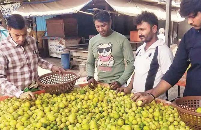 Buyers have also become cautious as lemon prices have risen. Photo: INN