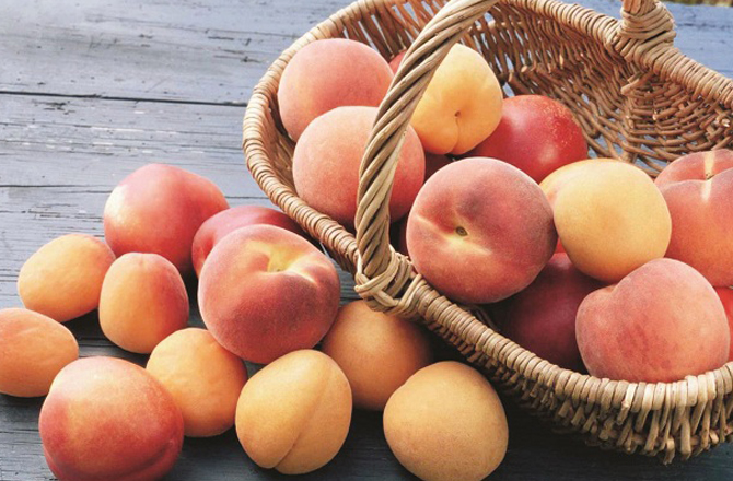 آڑو (peach)آڑو بھی موسم گرما کا ایک رسیلا پھل ہے جو فائبر اور وٹامنز سے بھرپور ہوتا ہے۔ آڑو میں قدرتی مٹھاس کے باوجود اس کا گلائسیمک انڈیکس کم ہوتا ہے، جس کی وجہ سے یہ شوگر کو اچانک بڑھنے نہیں دیتا۔