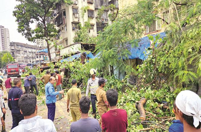 A picture of Nagpara Junction showing firefighters removing a fallen tree from the road.
