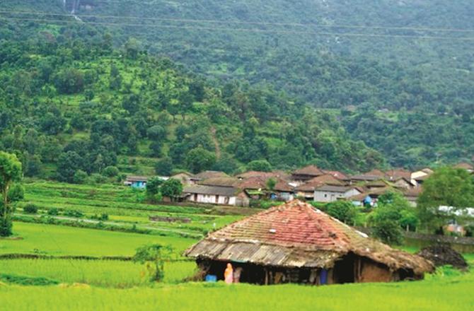 The lush greenery of Ratanwadi village. Photo: INN