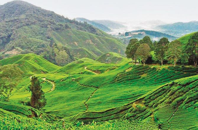 Khayang peak of Ukhrul. Photo: INN