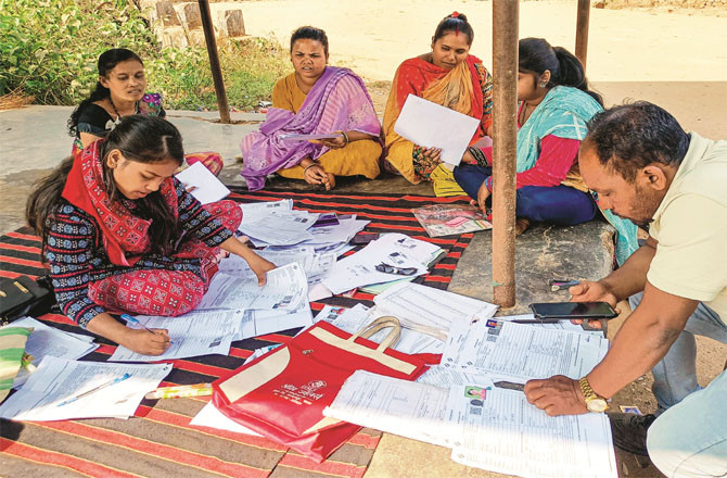 Booth level officers in Bastar performing SIR duties. (PTI)