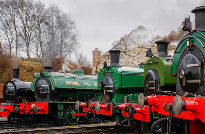 <p>ٹینفیلڈ ریلوے، برطانیہ (۱۷۲۵ء سے):کوئلے کی نقل و حمل کے لیے لکڑی کے ویگن وے کے طور پر شروع ہونے والی، ٹینفیلڈ ریلوے مسلسل استعمال میں سب سے قدیم معیاری گیج ریلوے ہے۔ اب یہ زیادہ تر سیاحت کے لیے بھاپ کے انجن چلاتا ہے۔</p>