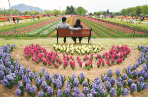 قوت بیانیہ کے زوال  کا سب سے بڑا اور مہلک سبب ہمارا افلاس ہے