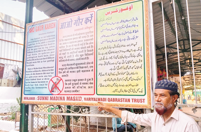 ناریل واڑی قبرستان میں بلّیوں کی کثرت اورگندگی بڑا مسئلہ، قبروں پربیٹھی رہتی ہیں