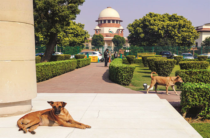 Supreme Court: Secularism should be seen in reality, not on paper