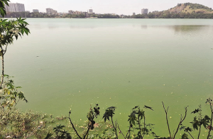 بھیونڈی : ورالا تالاب کی خستہ حالی پرکارپوریشن کی لاپروائی بے نقاب