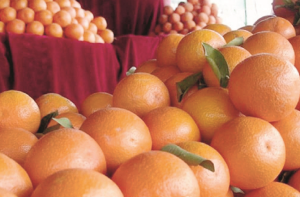 کینو: مدافعتی نظام کی مضبوطی اور جسم کو قدرتی توانائی بخشتا ہے