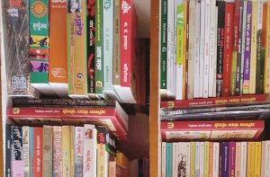 مراٹھی اَدب میں تنقید: ایک مختصرجائزہ