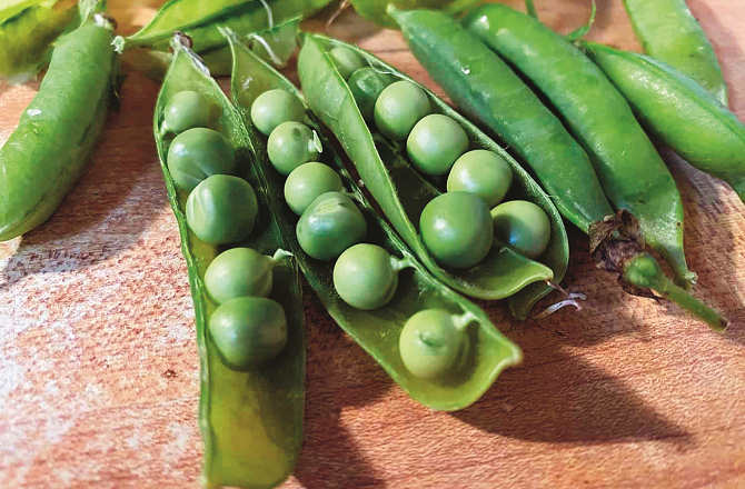 Peas cure anemia. Photo: INN